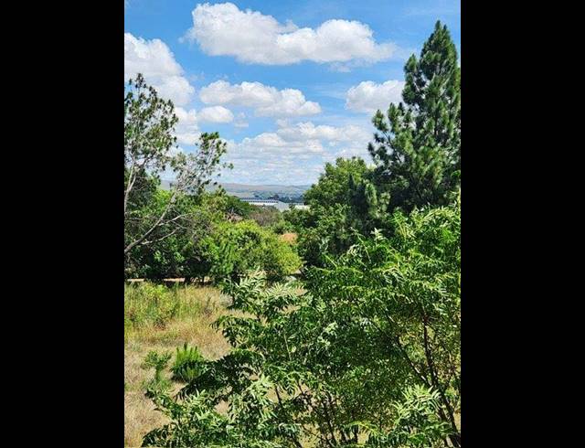 LAND FOR SALE IN RIETFONTEIN AH